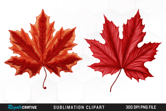 Embroidery Maple Leaf Clipart PNG Design